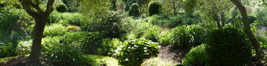 Giardinaggio